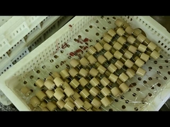 الجهد العالي 40.5kVAC-100pF 4000V مكثف سيراميك للعازل بالسعة